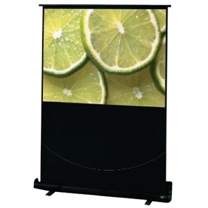 Draper Traveller Portable Projection Screen 230120