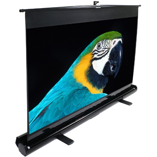 Elite Screens ezCinema Manual Projection Screen F120NWH