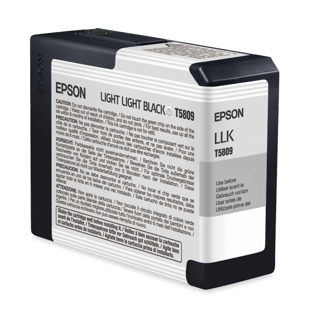 Epson UltraChrome K3 Light Light Black Ink Cartridge T580900