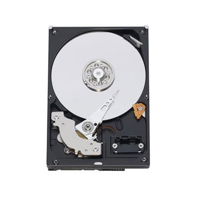 Acer Hard Drive TC.32700.066