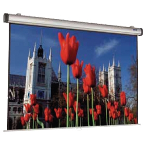 Da-Lite Easy Projection Screen 38832