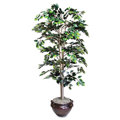 NuDell Artificial Ficus Tree, 6-ft. Overall Height NUDT7781 T7781