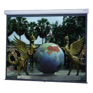 Da-Lite Model C Projection Screen 97221