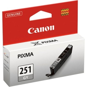 Canon Ink Cartridge 6517B001 CLI-251 GY