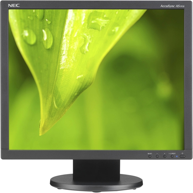 NEC Display 19" Value LED-Backlit Desktop Monitor w/ IPS Panel AS193I-BK