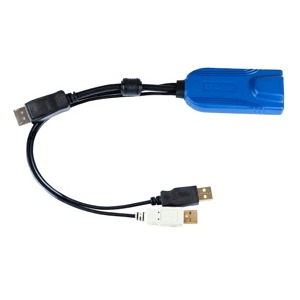 Raritan USB/DVI Video/Data Transfer Cable D2CIM-DVUSB-DVI