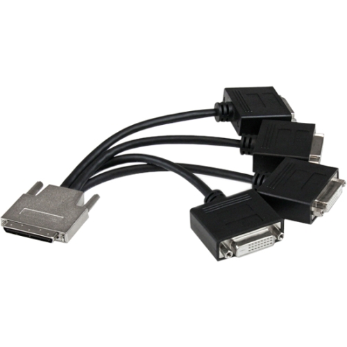StarTech.com VHDCI to Quad DVI Splitter Breakout Cable - VHDCI (M) to 4x DVI-D (F) VHDCI24DVI