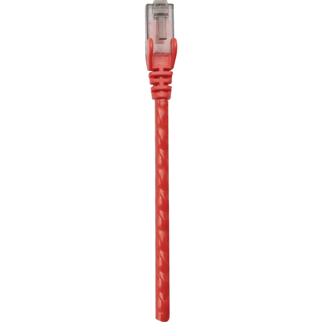 Intellinet RJ-45 Male / RJ-45 Male, 14 ft. (5.0 m), Red 343367