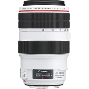 Canon EF Lens 4426B002