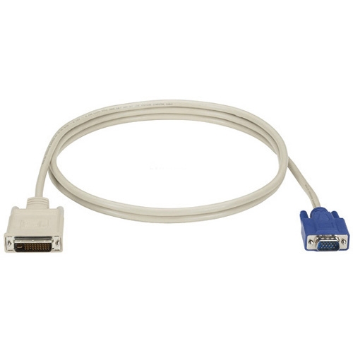 Black Box DVI Cable EVNDVI02-0015