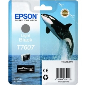 Epson Ultrachrome HD Ink Cartridge T760720 T760