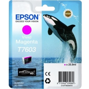 Epson Ultrachrome HD Ink Cartridge T760320 T760