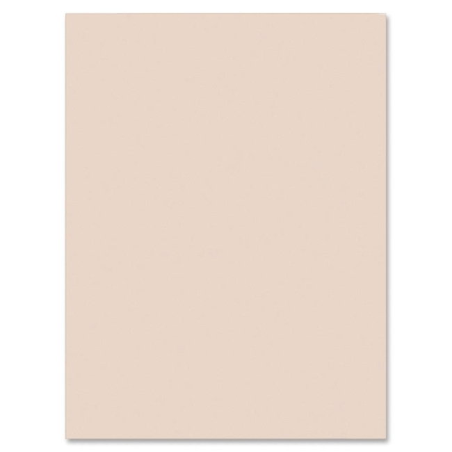 Pacon Tagboard Paper 5126 PAC5126