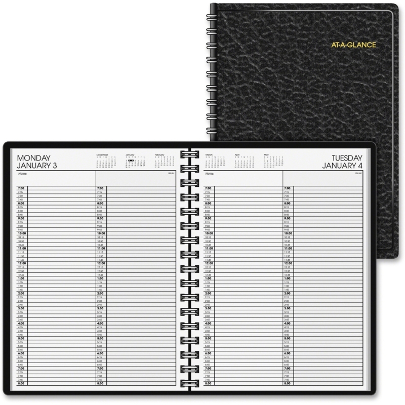 At-A-Glance At-A-Glance Professional 2-Person Daily Appointment Book 7022205 AAG7022205