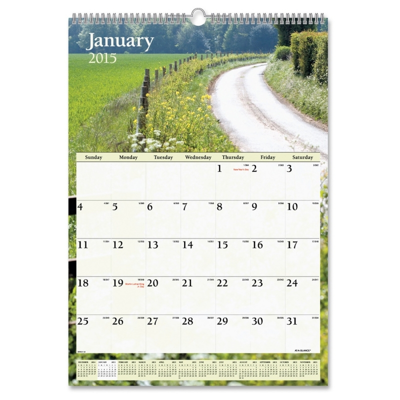 At-A-Glance At-A-Glance Scenic Monthly Wall Calendar DMW20128 AAGDMW20128