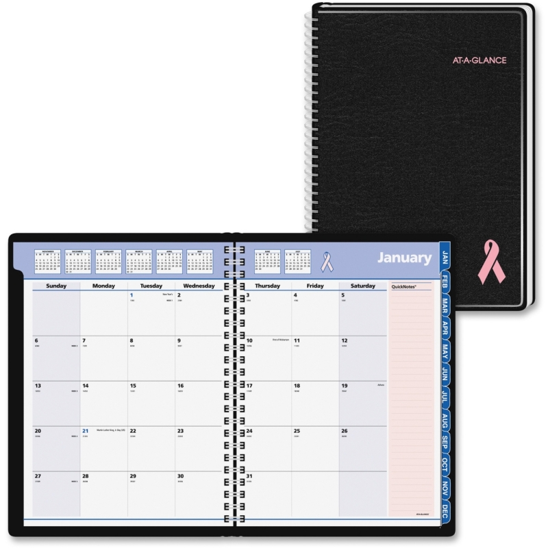 At-A-Glance At-A-Glance QuickNotes Breast Cancer Awareness Appointment Book 76PN0605 AAG76PN0605
