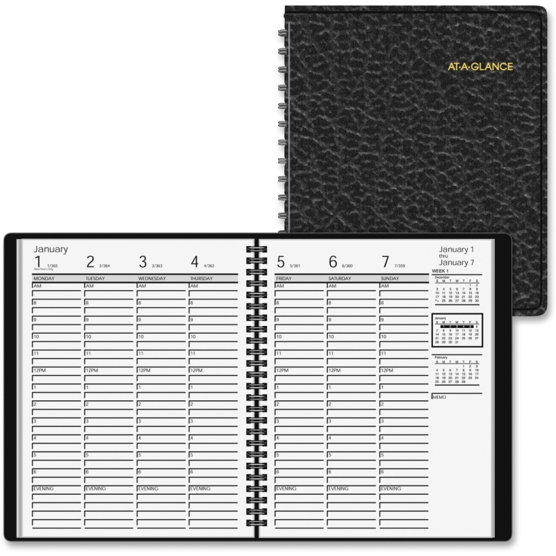 At-A-Glance At-A-Glance Professional Weekly Appointment Book 70-865-05 AAG7086505