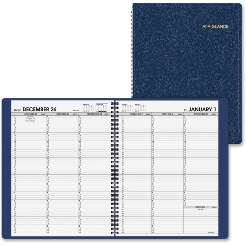 At-A-Glance At-A-Glance Professional Weekly Appointment Book 70-950-20 AAG7095020