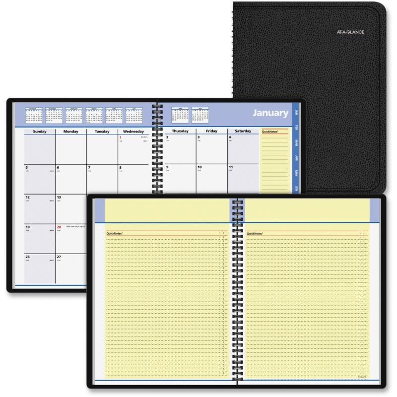 At-A-Glance At-A-Glance QuickNotes Monthly Mnagement Planner 76-06-05 AAG760605