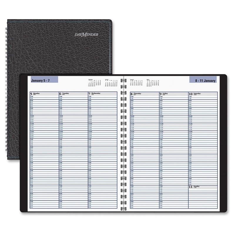At-A-Glance At-A-Glance Professional Appointment Book G520-00 AAGG52000