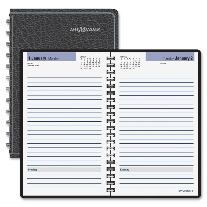 At-A-Glance At-A-Glance Daily Appointment Book SK46-00 AAGSK4600