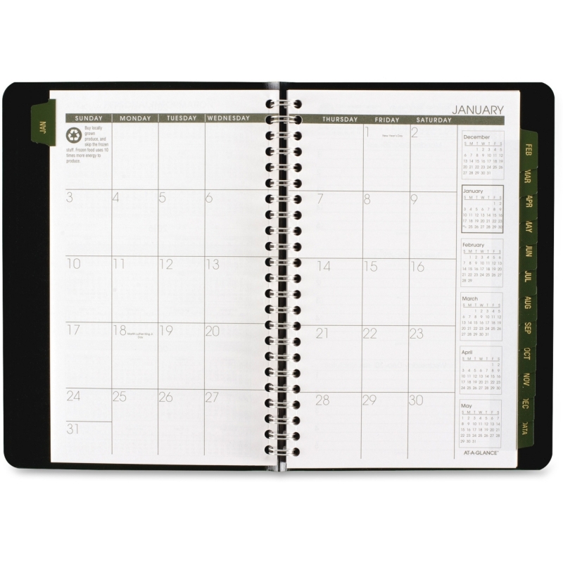 At-A-Glance Appointment Book 70-100G-05 AAG70100G05