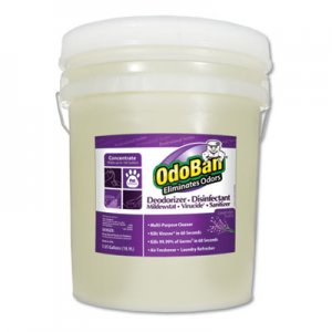 OdoBan Concentrated Odor Eliminator and Disinfectant, Lavender Scent, 5 gal Pail ODO9111625G 911162-5G