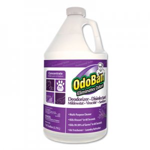 OdoBan Concentrate Odor Eliminator and Disinfectant, Lavender Scent, 1 gal Bottle, 4/Carton ODO911162G4 911162-G4