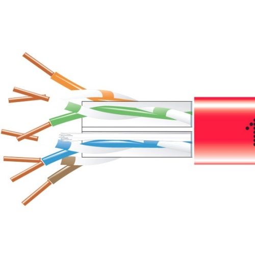 Black Box GigaTrue Cat6 550-MHz Solid Bulk Cable - Plenum, 1000-ft., Red EYN869B-PB-1000