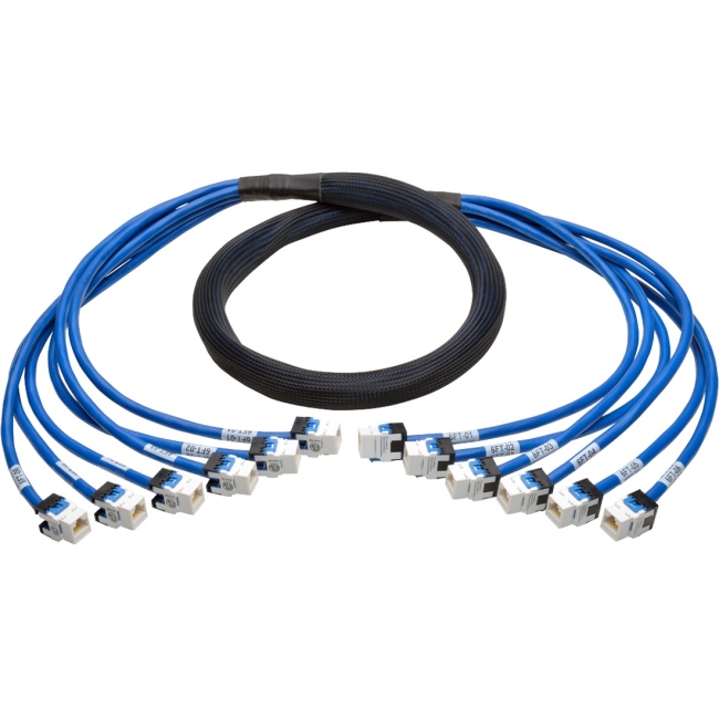 Tripp Lite Augmented Cat6/Cat6a Pre-Terminated Copper Trunk Bundle, (6x) RJ45 (F/F), 6 ft N261-006-6FF-BL