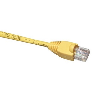 Black Box Gigabase Cat. 5E UTP Patch Cable EVCRB80-0020