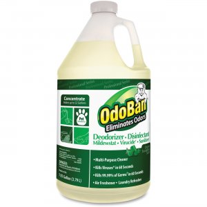 OdoBan Concentrated Eucalyptus Multi-purp Cleaner 911062G4