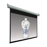 Inland 100" Electronic Projection Screen 5355