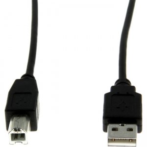 Rocstor 10 ft USB 2.0 Type-A to Type-B Cable - M/M Y10C115-B1