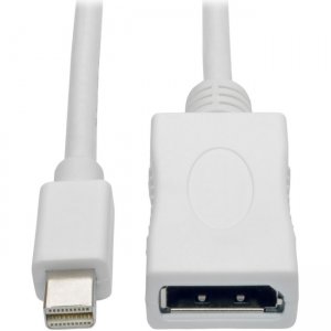 Tripp Lite Keyspan DisplayPort/Mini DisplayPort Audio/Video Cable P139-010-DP-V2B