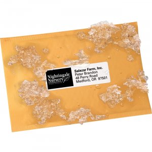 Avery WeatherProof Mailing Labels with TrueBlock Technology 95522 AVE95522