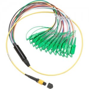 Fluke Networks 1 m Breakout Cord for SM MPOAPC Unpinned SCAPC Connector SBKC-MPOAPCU-SCAPC