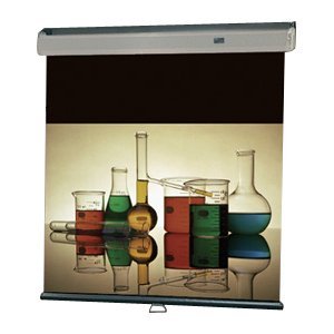 Draper Luma 2 Manual Projection Screen 206089