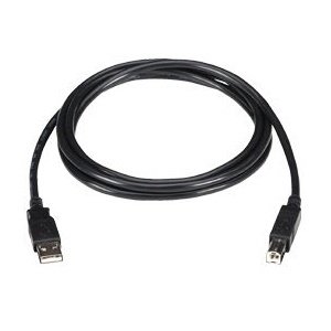 Black Box USB 2.0 A to Mini B Cable USB06-0006
