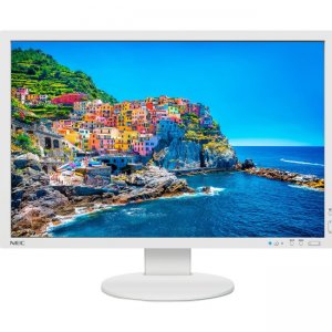 NEC Display 24" Professional Wide Gamut Desktop Monitor (White) PA243W