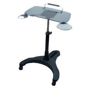 Ergoguys Mobile Adjustable Laptop Desk w/Glass Top LPD010G
