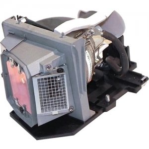 BTI Projector Lamp 317-1135-OE