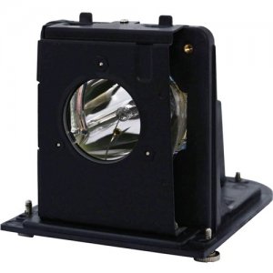 BTI Projector Lamp BL-FU250F-OE