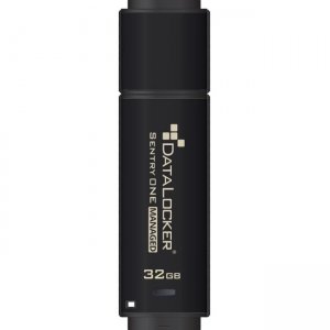 DataLocker Sentry ONE Encrypted Flash Drive SONE032M