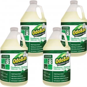 OdoBan Eucalyptus Multi-purpose Deodorizer Disinfectant Concentrate 911062G4CT ODO911062G4CT