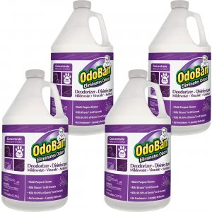 OdoBan Deodorizer Disinfectant Cleaner Concentrate 911162G4CT ODO911162G4CT