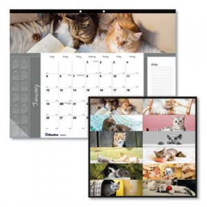 Blueline Pets Collection Monthly Desk Pad, 22 x 17, Furry Kittens, 2021 REDC194115 C194115