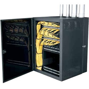 Middle Atlantic Products Cablesafe Rack Cabinet With Solid Front Door And 4 D-Rings CWR-12-22SD