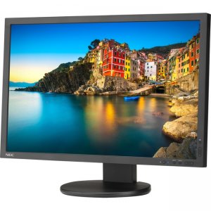 NEC Display 24" Professional sRGB Gamut Desktop Monitor P243W-BK