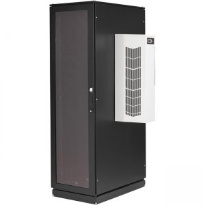 Black Box ClimateCab NEMA 12 Server Cabinet with M6 Rails CC42U6000M6-230